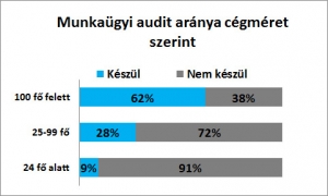 Munkaugyi audit cegmeretenkent 2017 RSM
