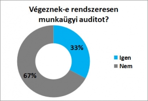 Munkaügyi audit, 2017 RSM