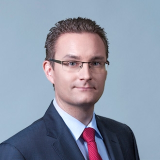 Vizer József, RSM Hungary, Adómenedzser, adószakértő