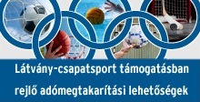 sporttamogatas_2013.jpg