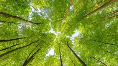 VSME keretrendszer: egyszerű ESG és fenntarthatósági jelentés KKV-knak