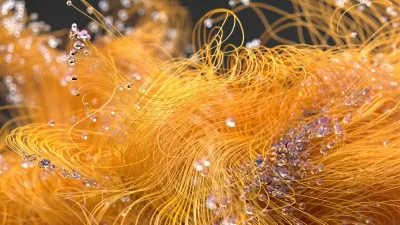 Az SZJA-bevallás tervezet vakfoltjai: 