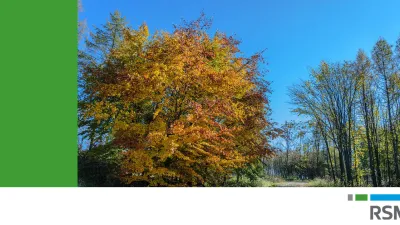 Még egyszerűbb lesz az adózás
