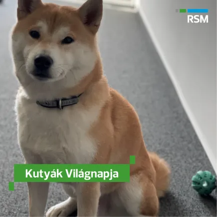 kutyak-vilagnapja